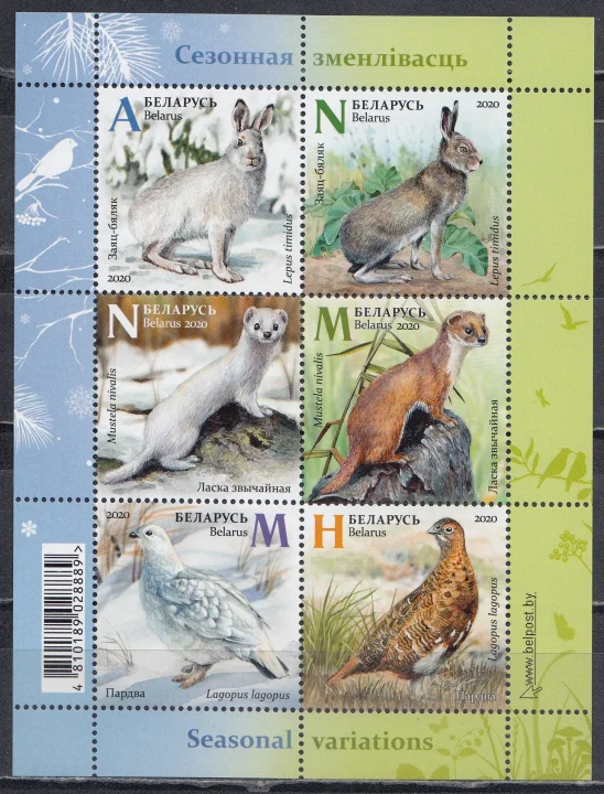 Беларусь - Фауна. Сезонные изменения. Заяц, ласка и куропатка(2020).