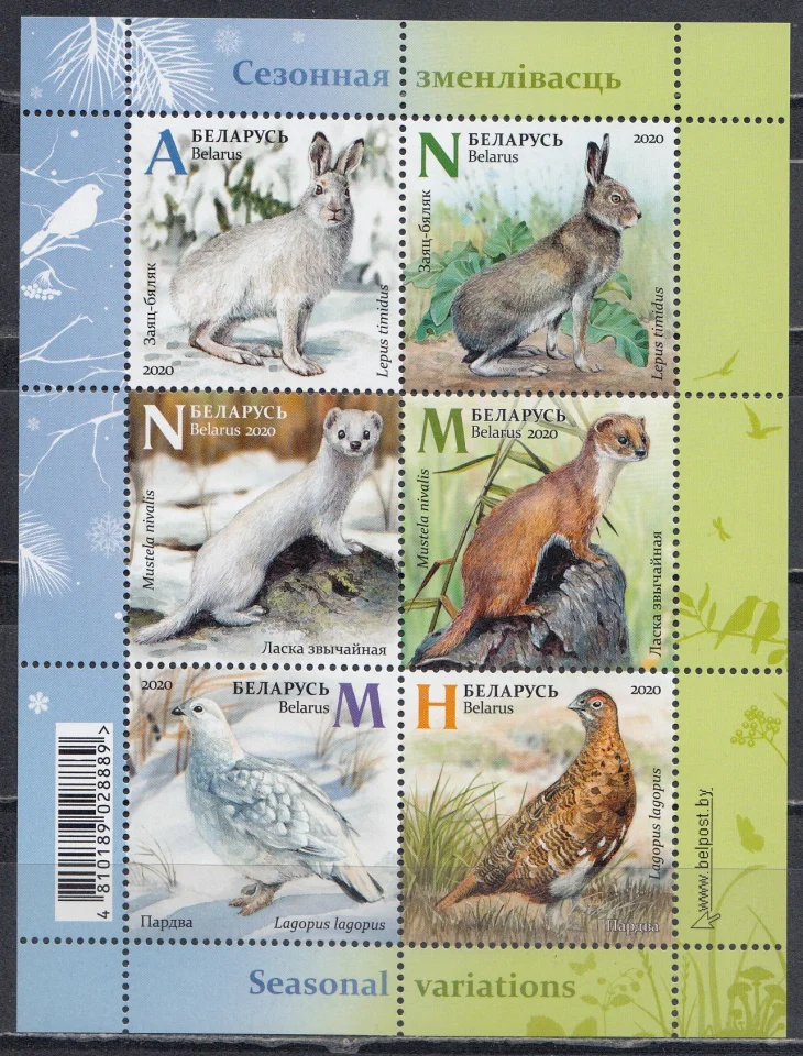 Беларусь - Фауна. Сезонные изменения. Заяц, ласка и куропатка(2020).