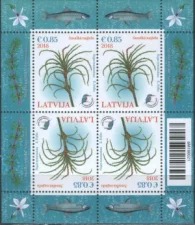 Латвия - Уникальное водное растение. Нежная Наяда. Блок(2018).