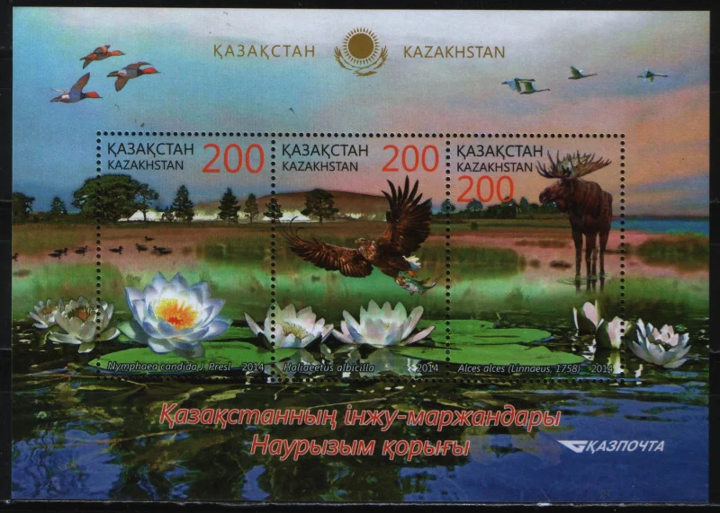 Казахстан - Наурзумский заповедник(2014).