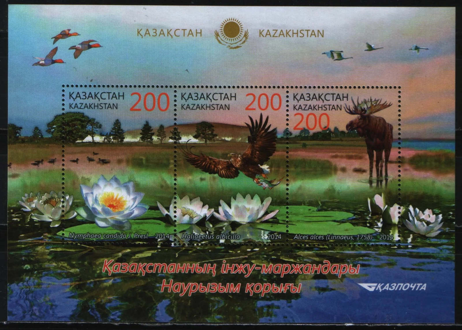 Казахстан - Наурзумский заповедник(2014).