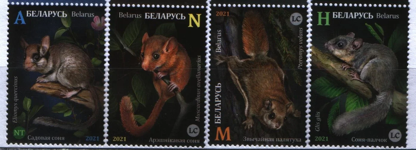  Беларусь - Грызуны. Красная книга Беларуси(2021).