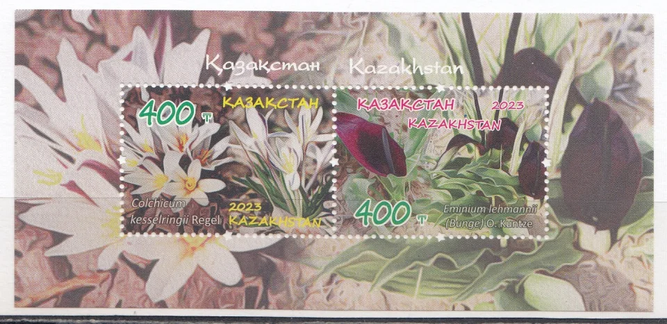 Казахстана - Красная книга Казахстана. Цветы эминиум и безвременник(2023).