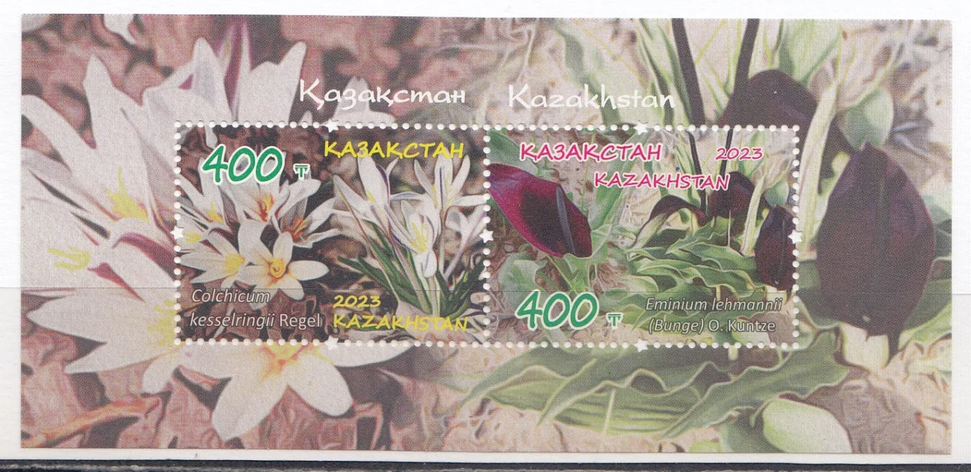 Казахстана - Красная книга Казахстана. Цветы эминиум и безвременник(2023).