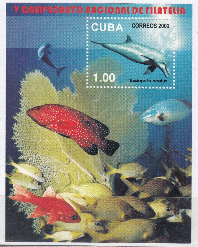 Куба - Морская фауна(2002).