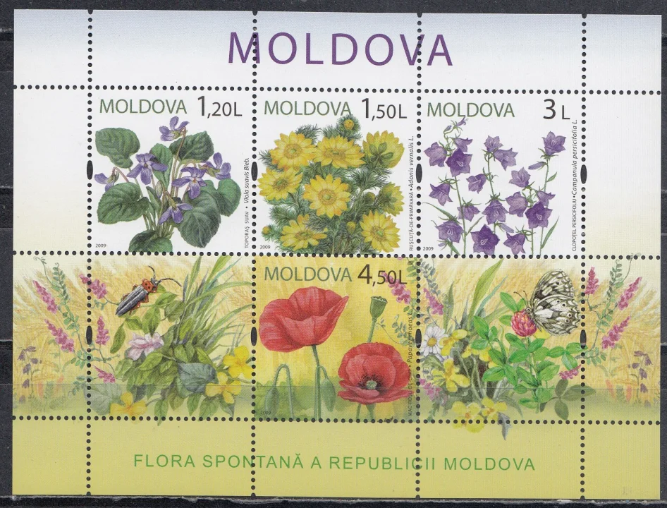 Молдова - Луговые цветы. Малый лист(2009).
