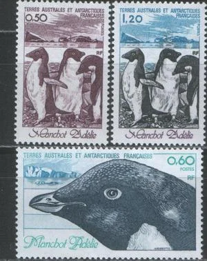 ТААФ - Пингвины(1980).