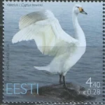 Эстония - Лебедь(2007).