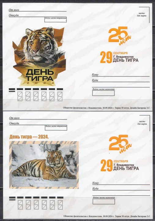 Россия - ДЕНЬ ТИГРА - 25 ЛЕТ! ВЛАДИВОСТОК. 4 не маркированные почтовые карточки(2024).