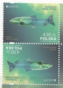 Польша - Европа 2024. Тет беш.