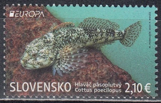 Словакия - Европа 2024.