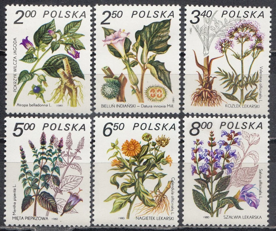 Польша - Цветы. Лекарственные растения(1980).