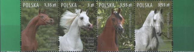 Польша - Арабские скакуны(2007).