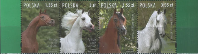 Польша - Арабские скакуны(2007).