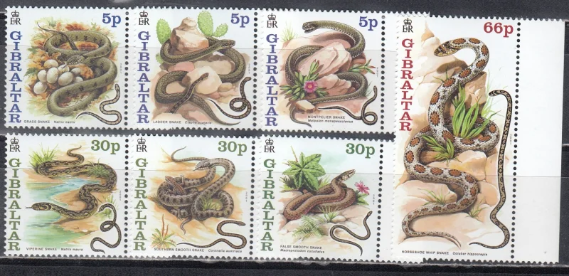 Гибралтар - Змеи Гибралтара(2001).