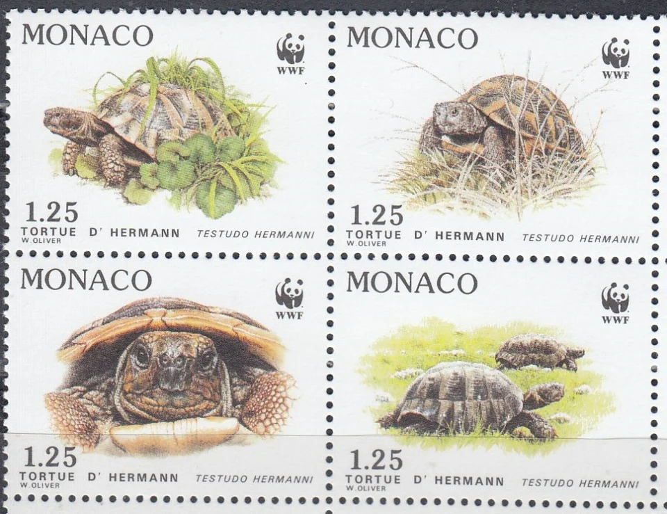 Монако - WWF. Черепахи(1991).