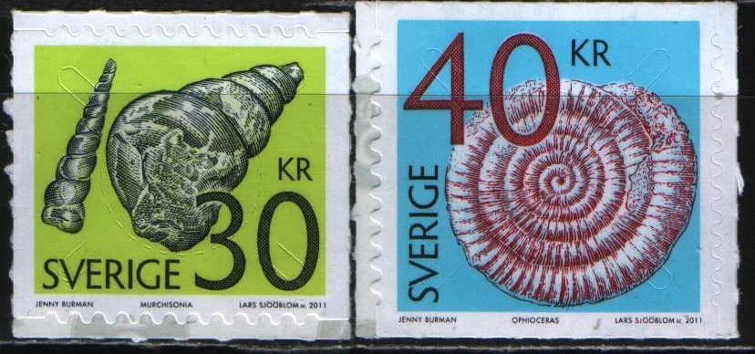 Швеция - Палеонтология окаменелости ископаемые моллюски раковины(2011).