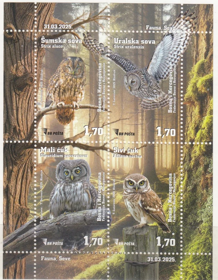 Босния и Герцеговина - Совы(2025).