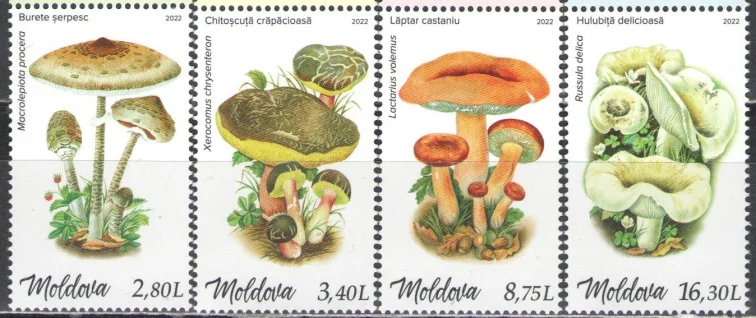 Молдова - Грибы(2022).