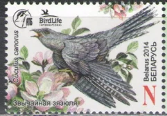 Беларусь - Птица 2014 года. Кукушка.
