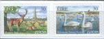 Ирландия - Европа 1999(1).