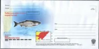 Россия - НеМК "Рыбы Дальневосточных морей России"(4 конверта, 2017, 3-й выпуск).