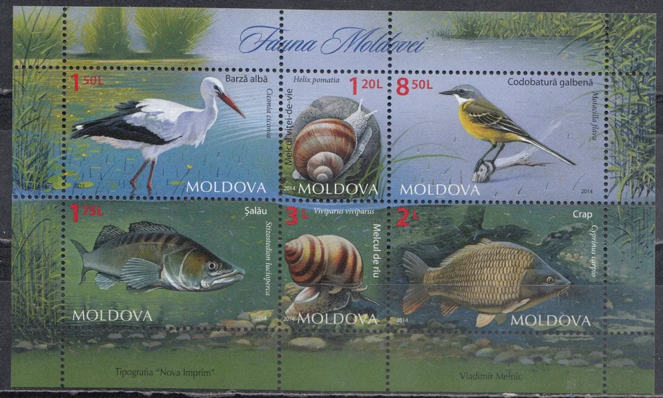 Молдова - Речная фауна(2014).