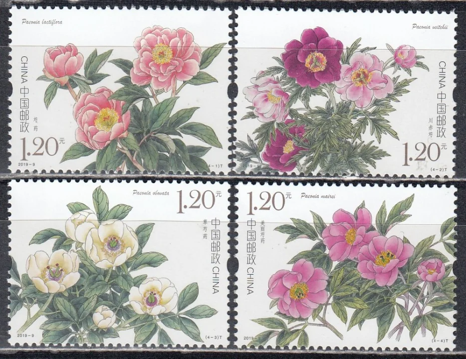 Китай - Пионы(2019).
