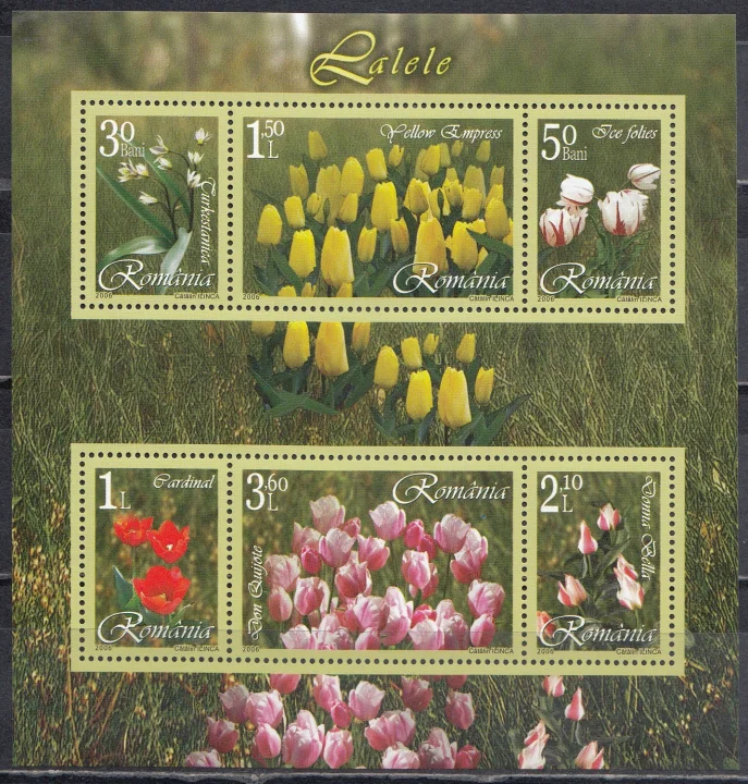 Румыния - Цветы. Тюльпаны(2006),(небольшой загиб, верхний левый угол).