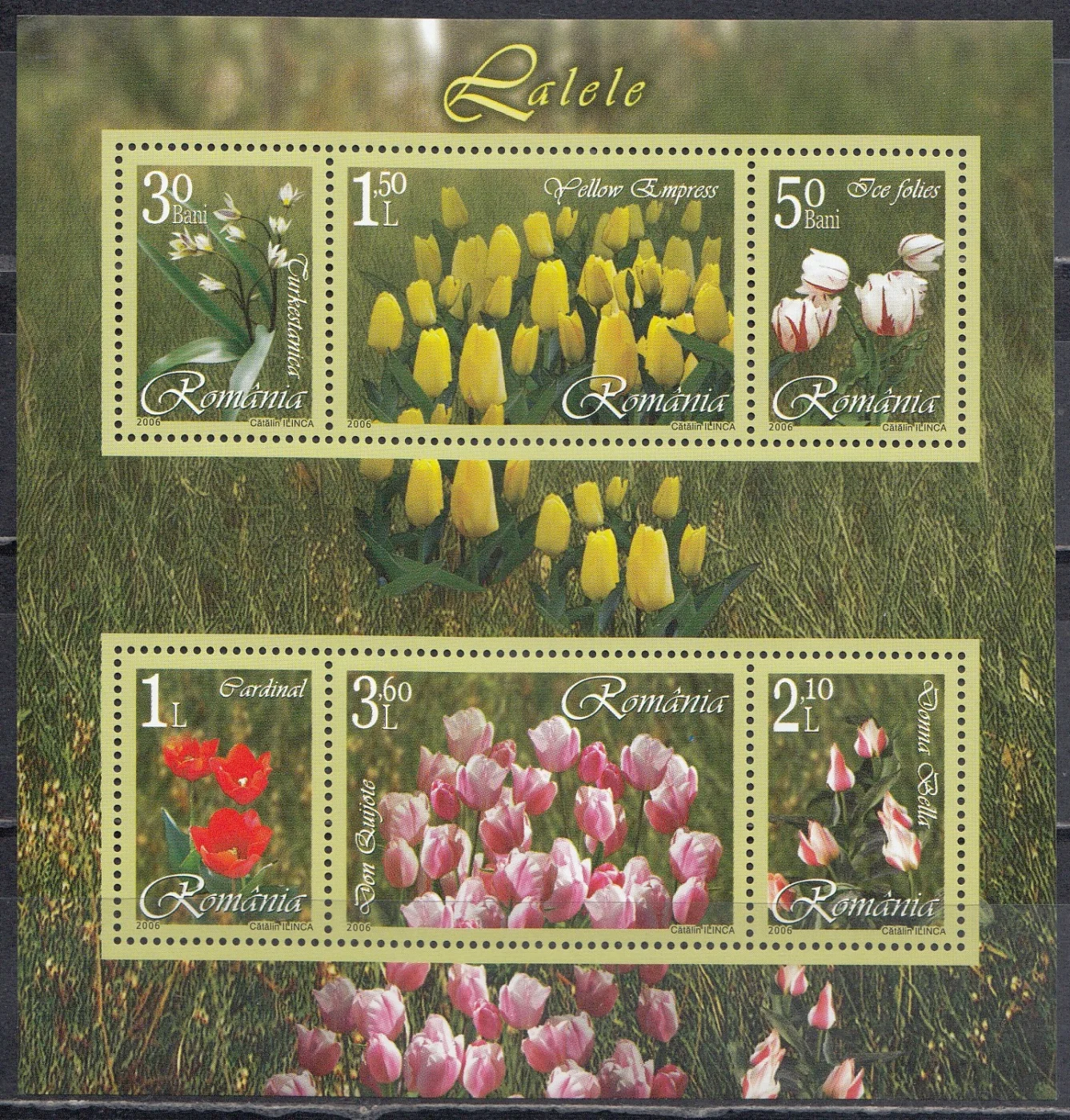 Румыния - Цветы. Тюльпаны(2006),(небольшой загиб, верхний левый угол).