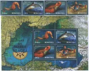 Румыния - Фауна Чёрного моря(2007).