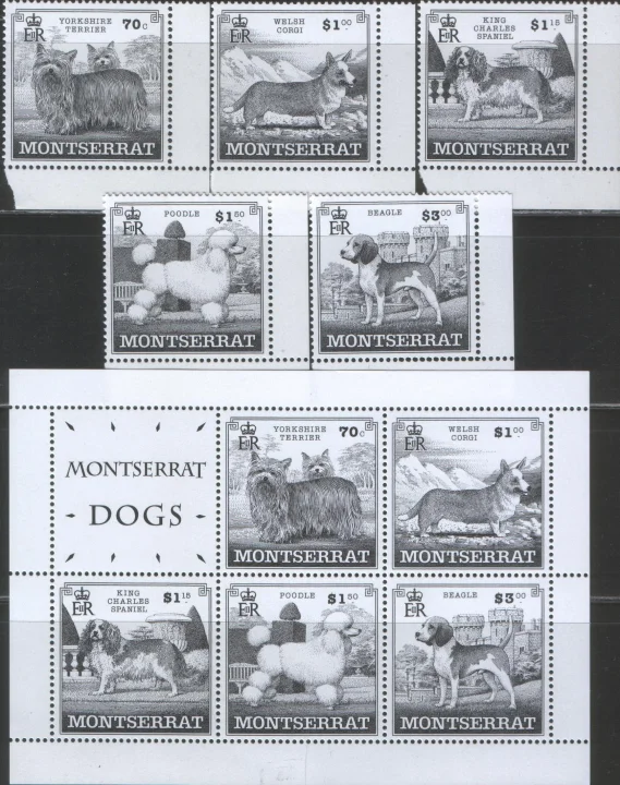 Монсеррат - Собаки(1999).