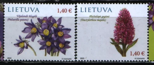 Литва - Цветы(2023).