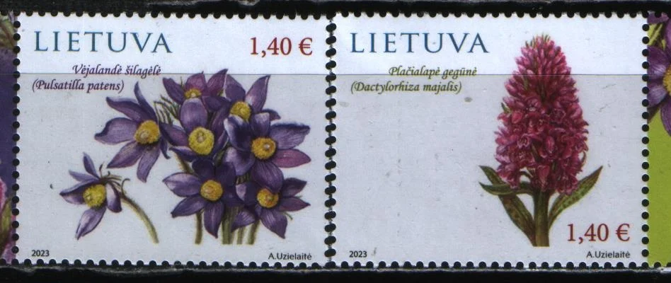 Литва - Цветы(2023).