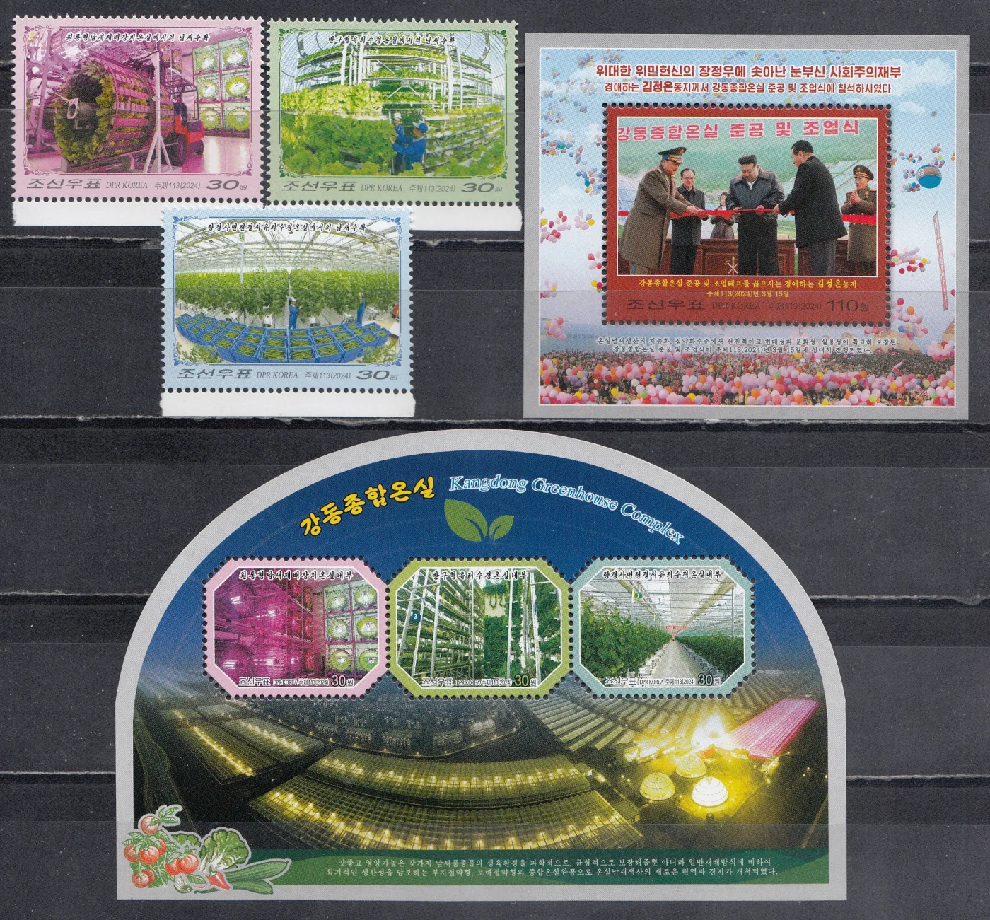 КНДР - Тепличный комплекс Кандон(2024).