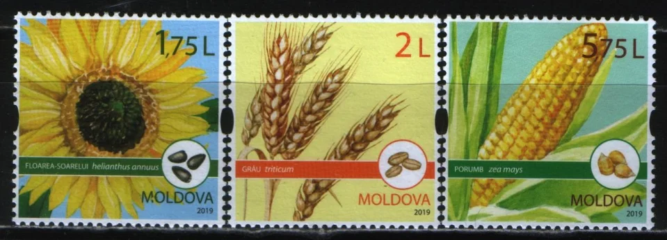Молдова - Полевые культуры. Кукуруза, пшеница и подсолнух(2019).