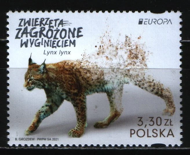 Польша - Европа 2021.