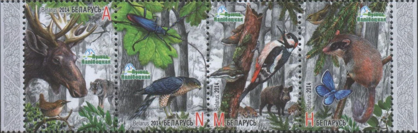 Беларусь - Налиботская Пуща(2014).